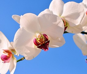 拱墅正规助孕捐卵机构，附正规捐卵机构报名表！